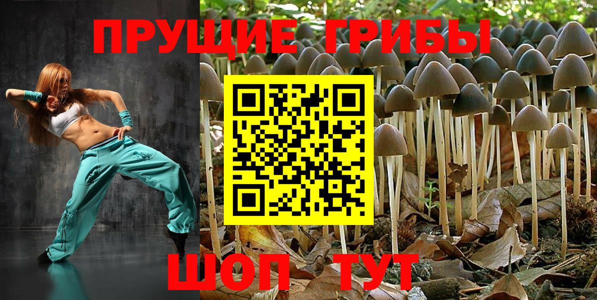 Псилоцибиновые грибы Cubensis Семёнов