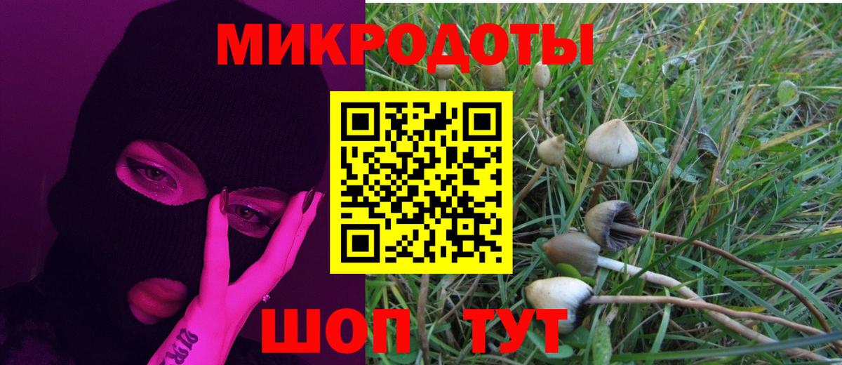 Семёнов  Псилоцибиновые грибы GOLDEN TEACHER  Вход с VPN 